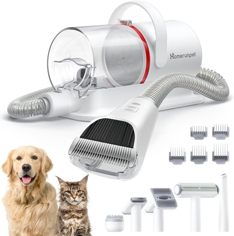 Tondeuse aspirateur pour chien : Guide complet 2024 et conseils d’utilisation